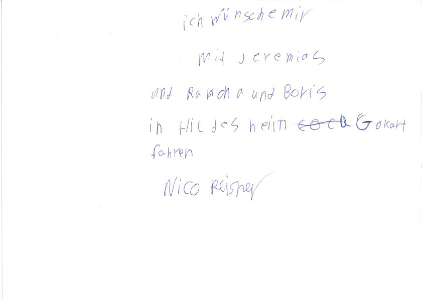 13_nico_scan