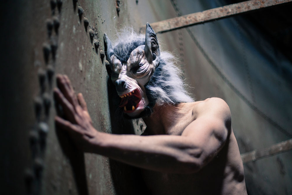 Rotkäppchen und der unglücklich verliebte Wolf (5)