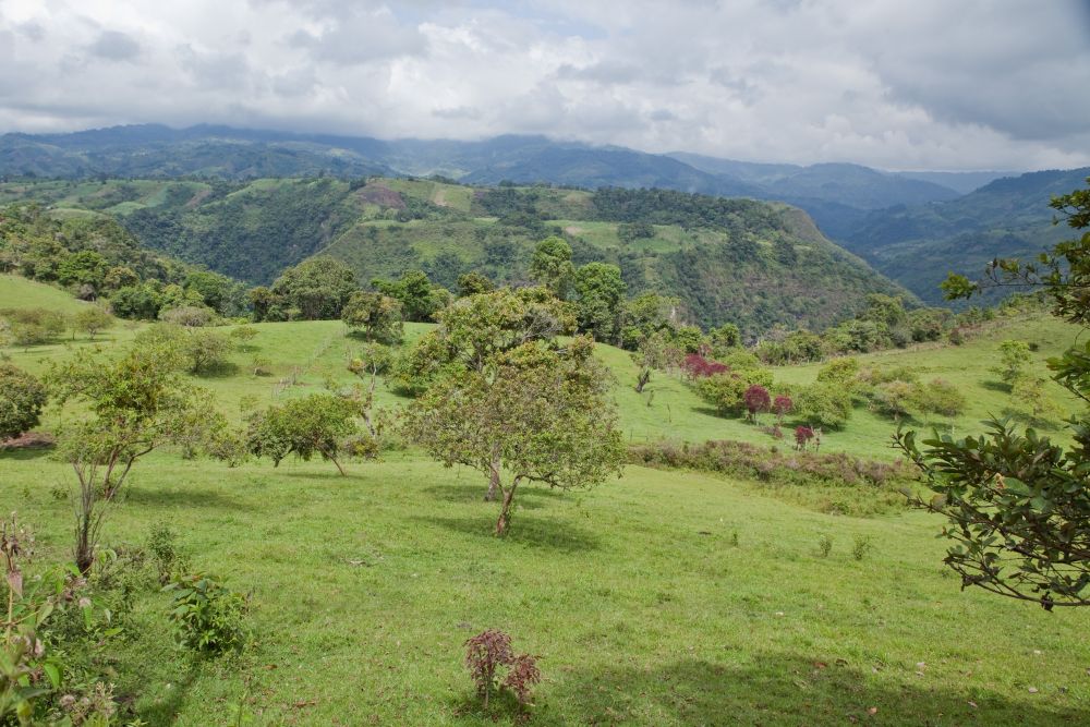 Kolumbien (19)