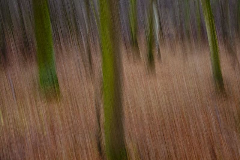 zero degre (2)
