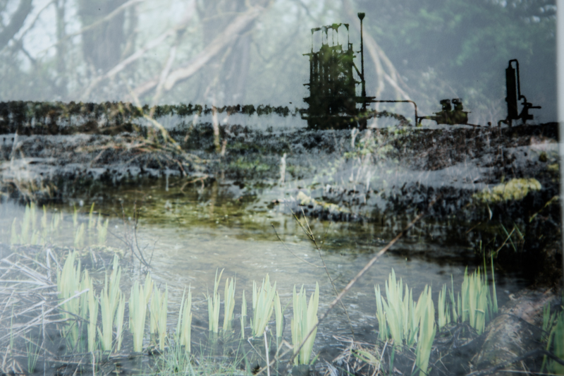Dunkle Wasser-3