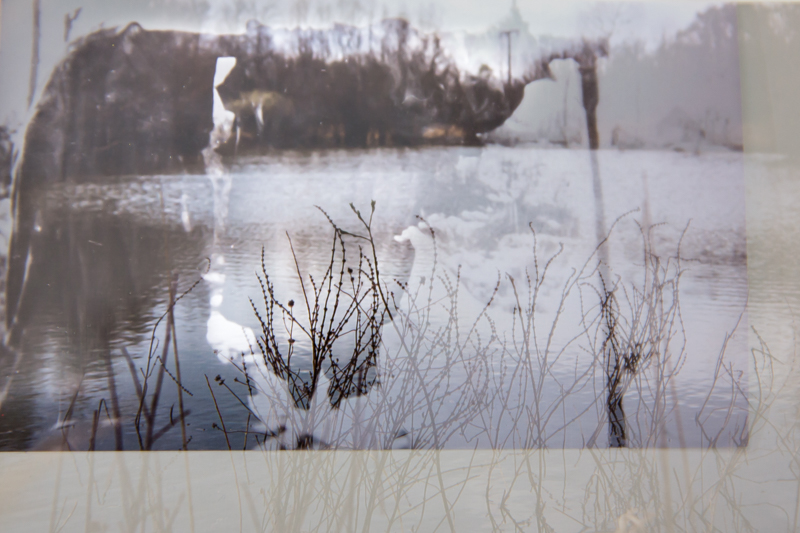 Dunkle Wasser-7